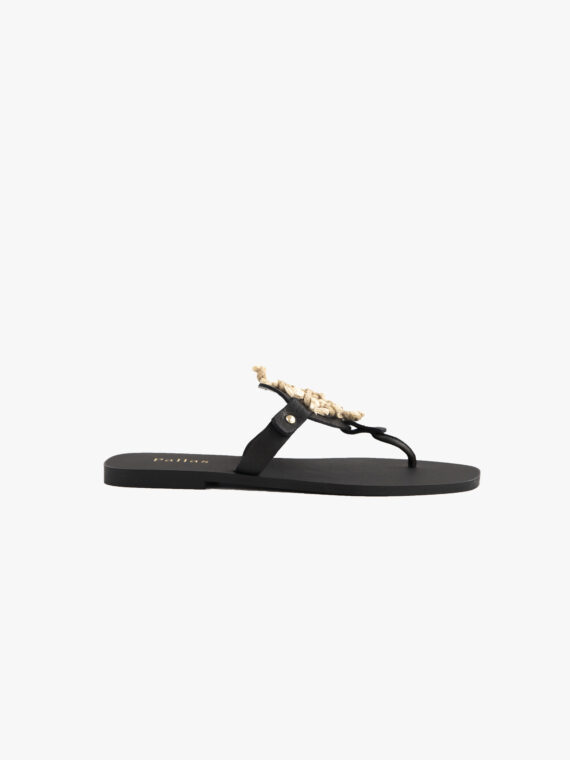 Fisher Slides